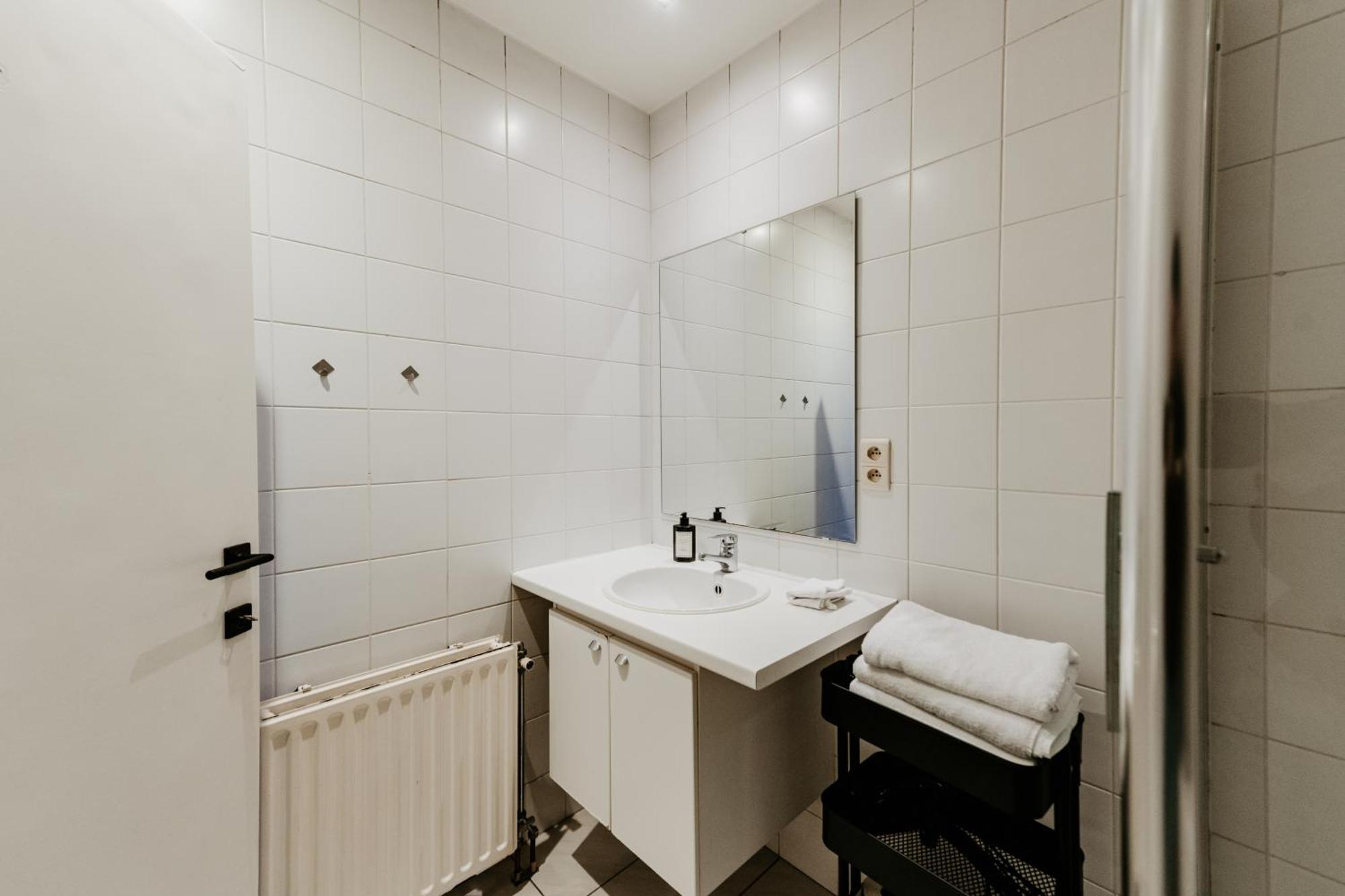 Cathedral View Apartment アントウェルペン エクステリア 写真