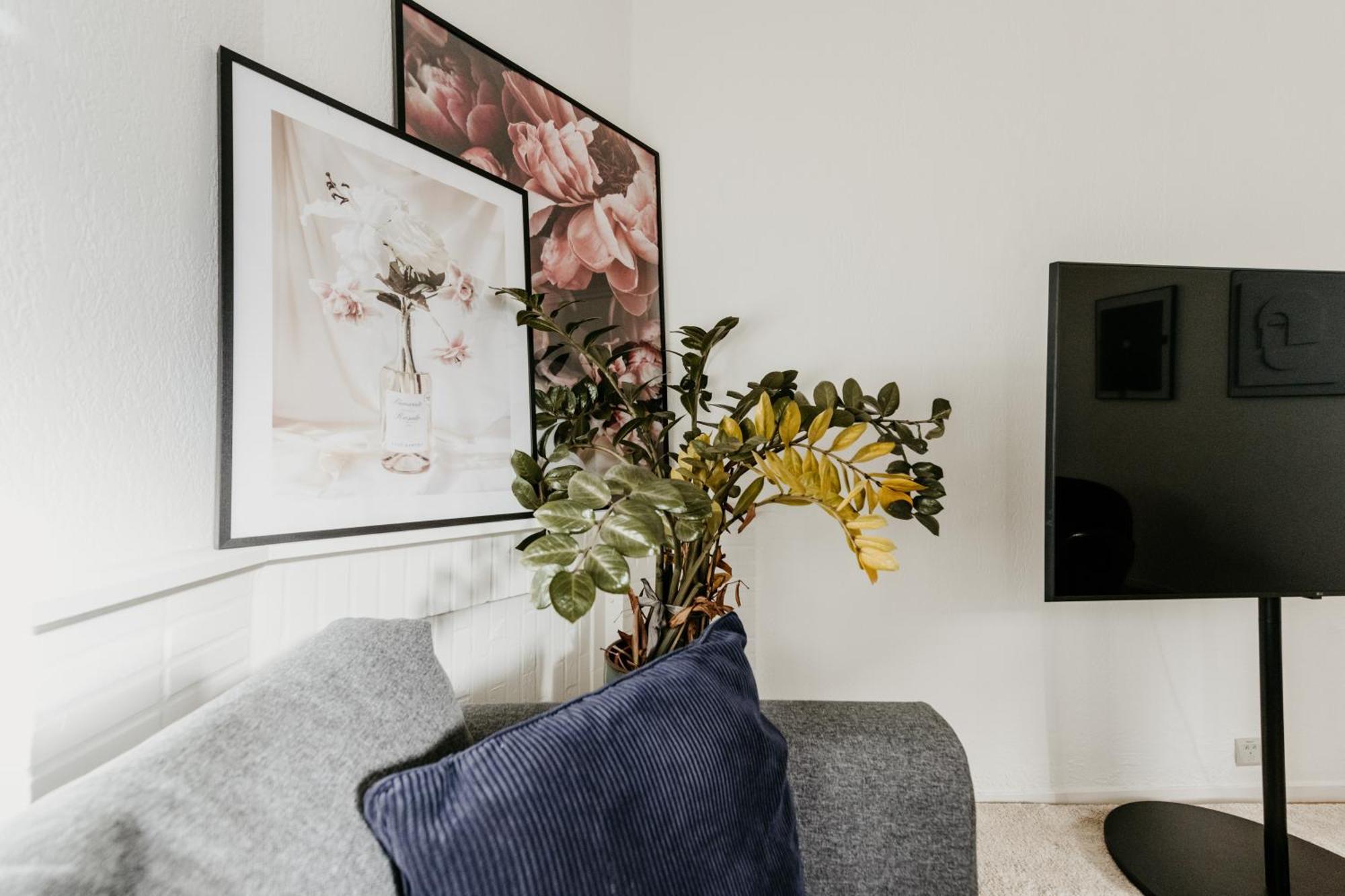 Cathedral View Apartment アントウェルペン エクステリア 写真