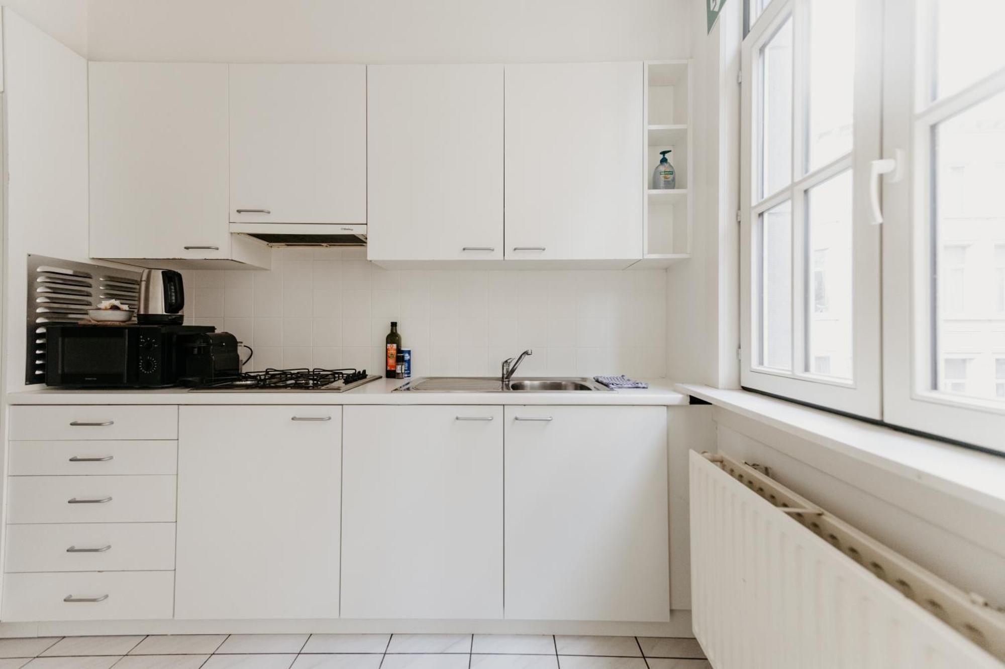 Cathedral View Apartment アントウェルペン エクステリア 写真