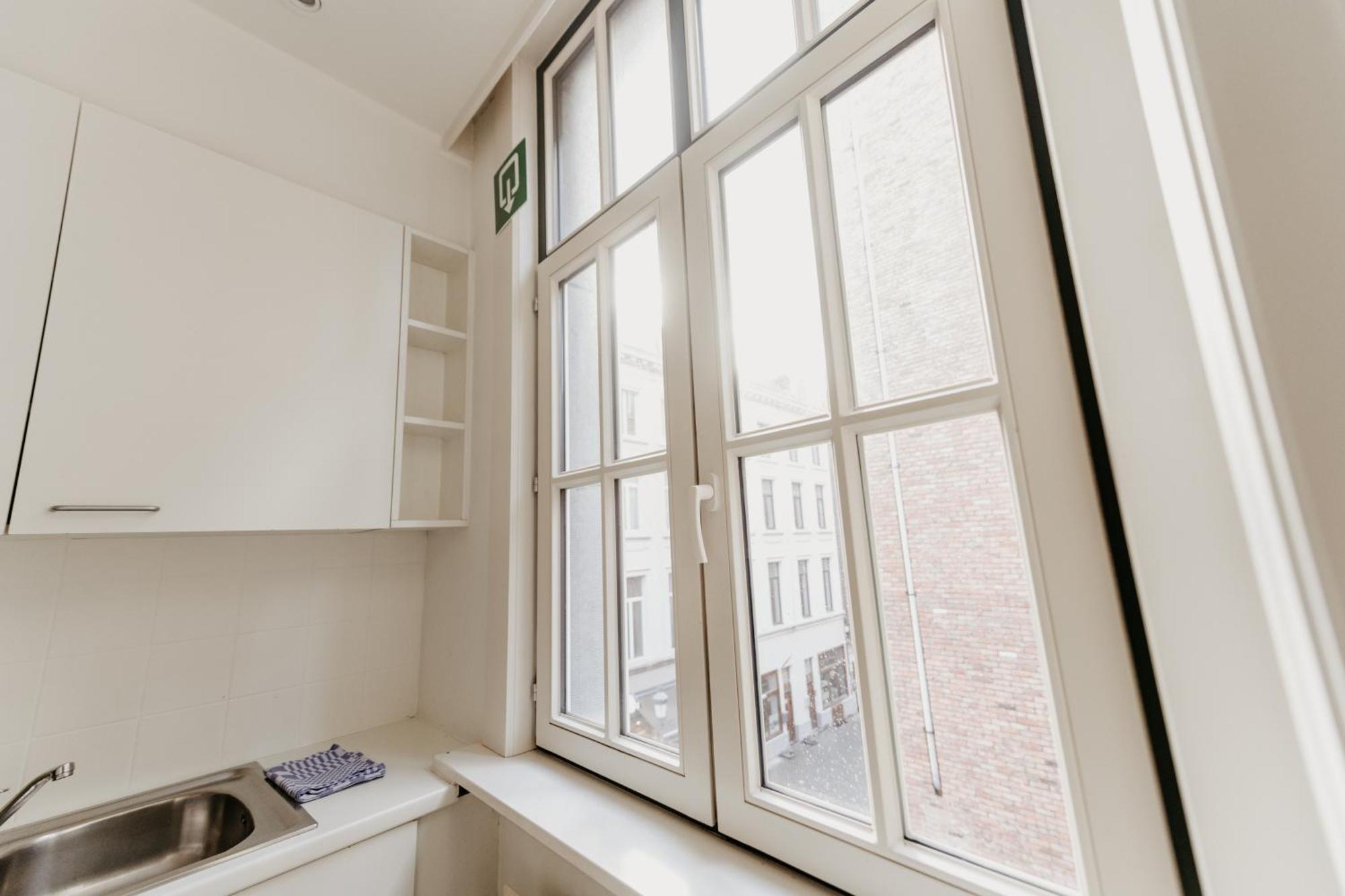 Cathedral View Apartment アントウェルペン エクステリア 写真