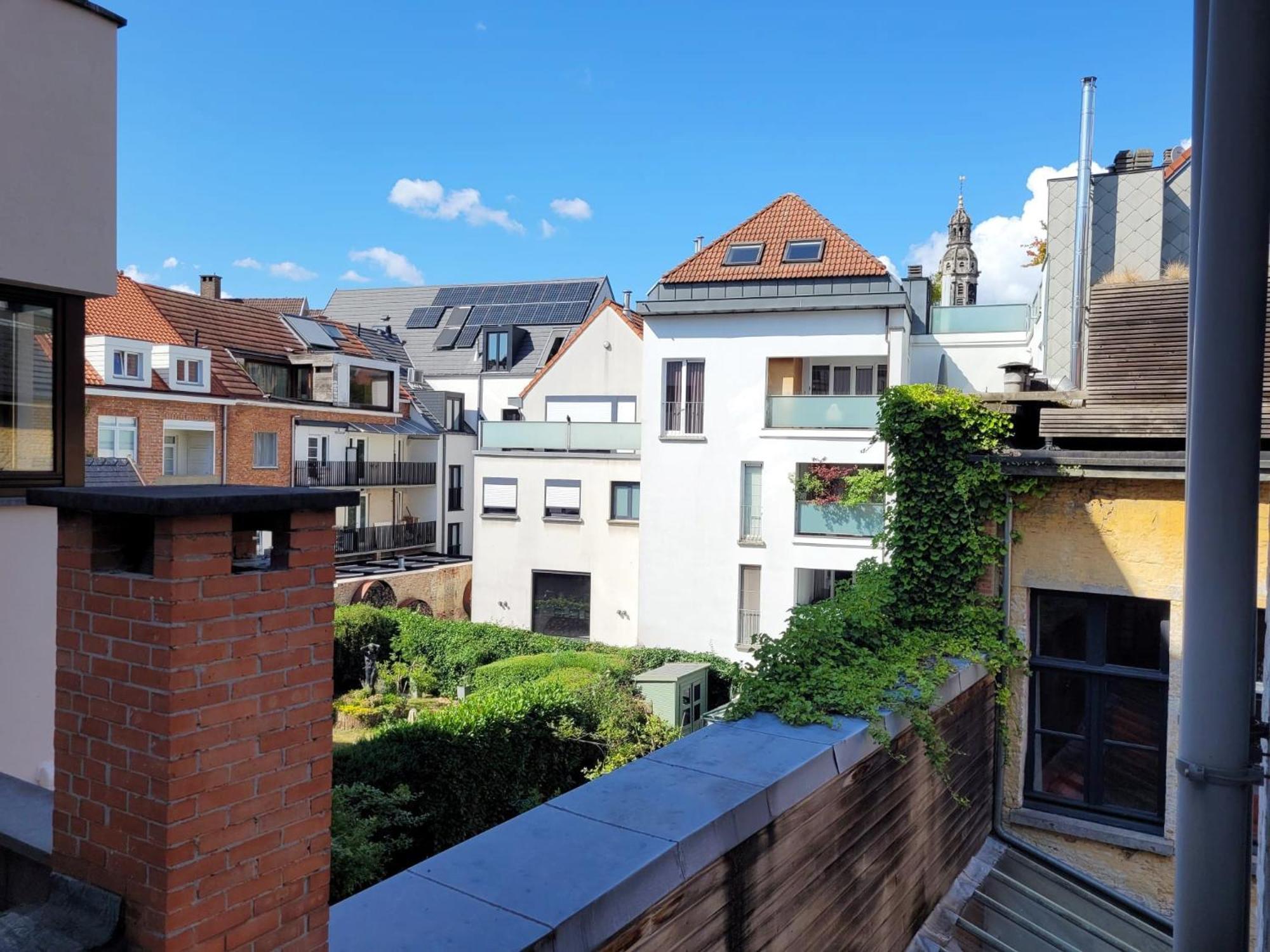 Cathedral View Apartment アントウェルペン エクステリア 写真
